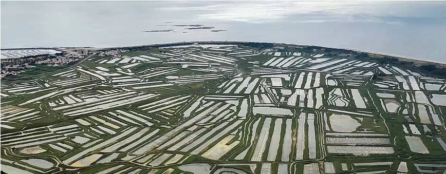 Loire Atlantique et ses îles